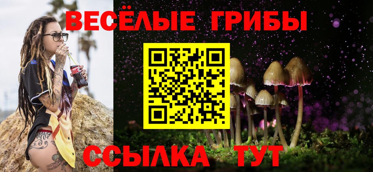 Галлюциногенные грибы Psilocybine cubensis Ирбит