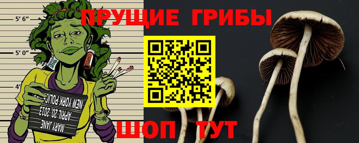 Псилоцибиновые грибы мицелий  Вход с VPN  Псилоцибиновые грибы ЛСД  Ирбит 